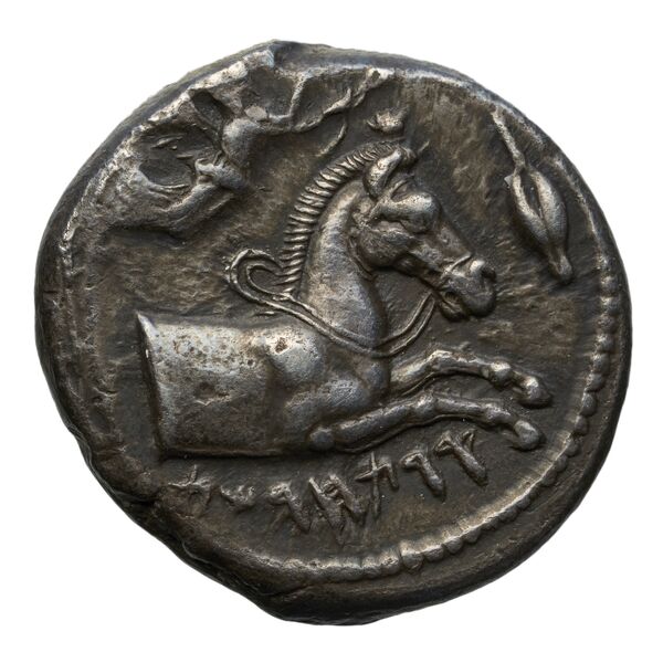 Carthaginian Empire Carthage Jenkins 1974 Carthage series 1, 1-37, аверс, BnF (IRIS)