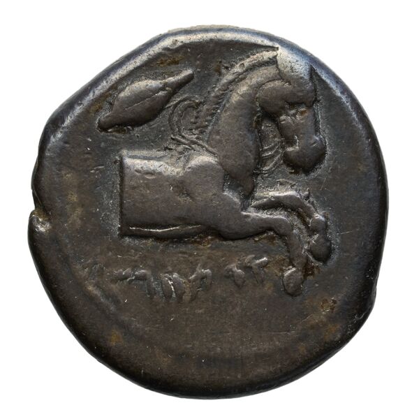 Carthaginian Empire Carthage Jenkins 1974 Carthage series 1, 1-37, аверс, BnF (IRIS)