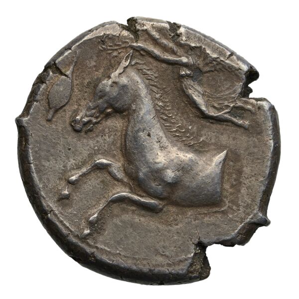 Carthaginian Empire Carthage Jenkins 1974 Carthage series 1, 1-37, аверс, BnF (IRIS)