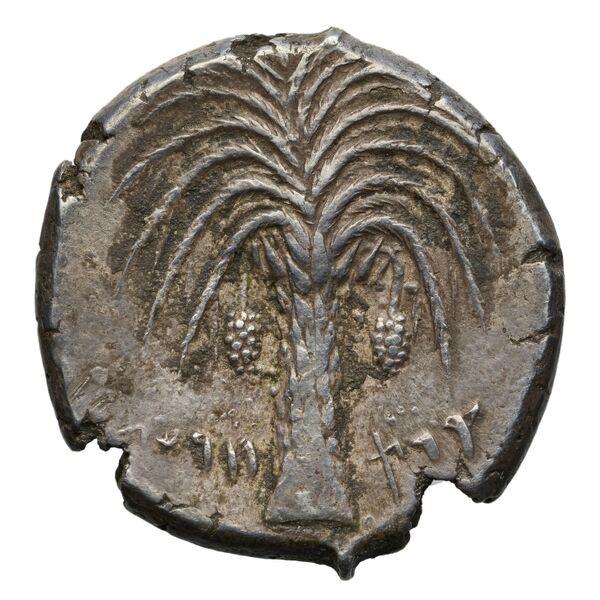 Carthaginian Empire Carthage Jenkins 1974 Carthage series 1, 1-37, реверс, BnF (IRIS)