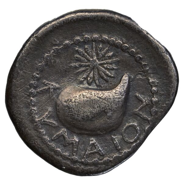 Cumae Historia Numorum Italy 532, реверс, BnF (IRIS)