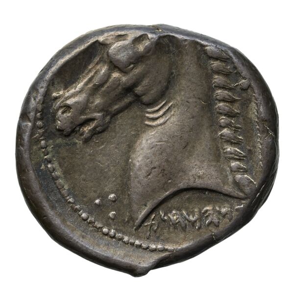 реверс Carthaginian Empire Carthage Jenkins 1978 Carthage series 5