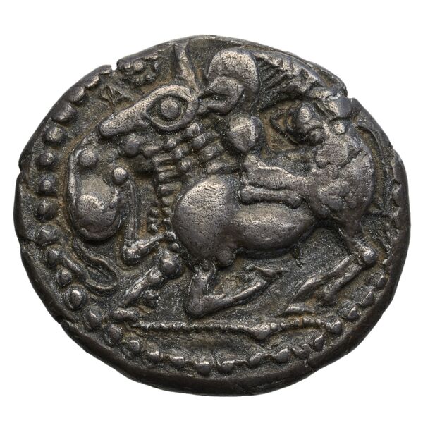аверс Acanthus Tselekas 1996 Periods B-C, groups 8-29