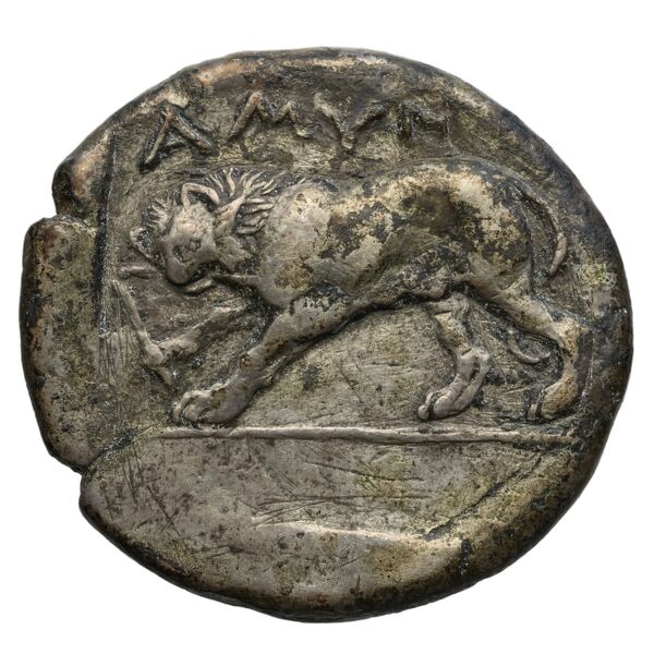 Amyntas III of Macedon Macedon SNG ANS 99, реверс, bnf-iris