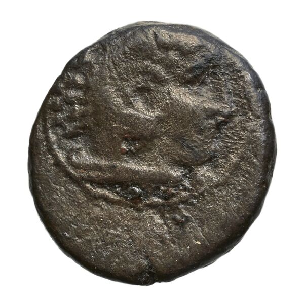 Amyntas III of Macedon Macedon SNG ANS 94-96, аверс, bnf-iris