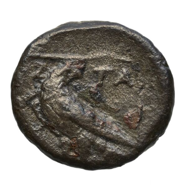 Amyntas III of Macedon Macedon SNG ANS 94-96, реверс, bnf-iris