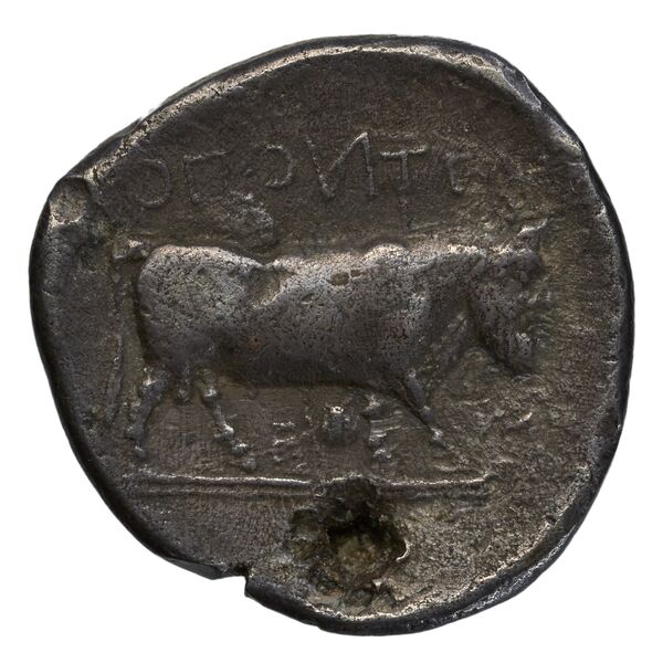 Neapolis Historia Numorum Italy 554, реверс, bnf-iris