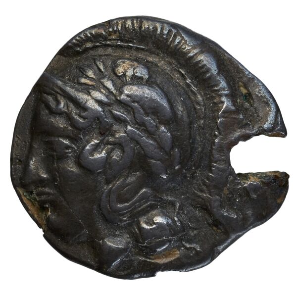 Neapolis Historia Numorum Italy 554, аверс, bnf-iris