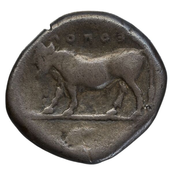 реверс Neapolis Historia Numorum Italy 546
