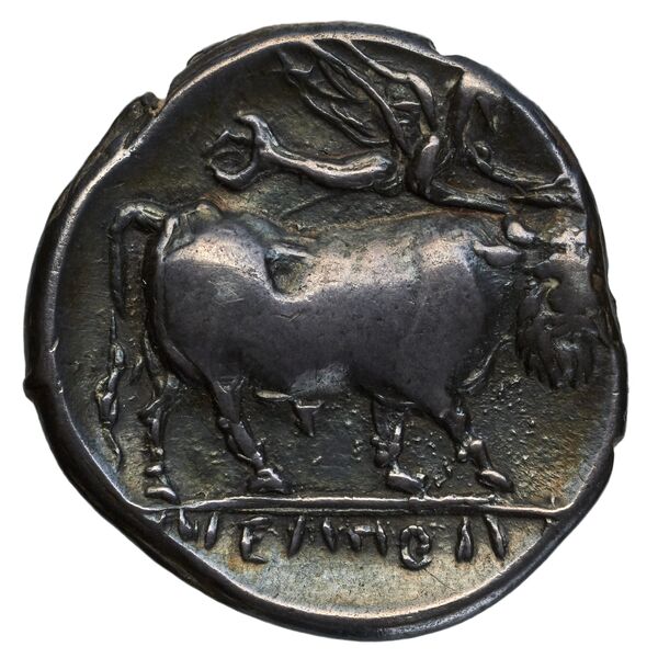реверс Neapolis Historia Numorum Italy 563