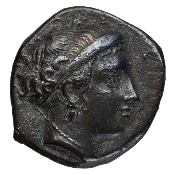 Neapolis Historia Numorum Italy 563, аверс, bnf-iris
