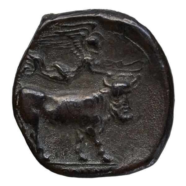 Neapolis Historia Numorum Italy 563, реверс, bnf-iris