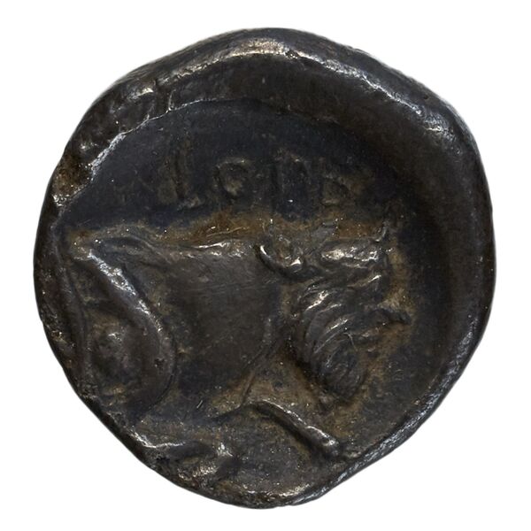 Neapolis Historia Numorum Italy 557, реверс, bnf-iris