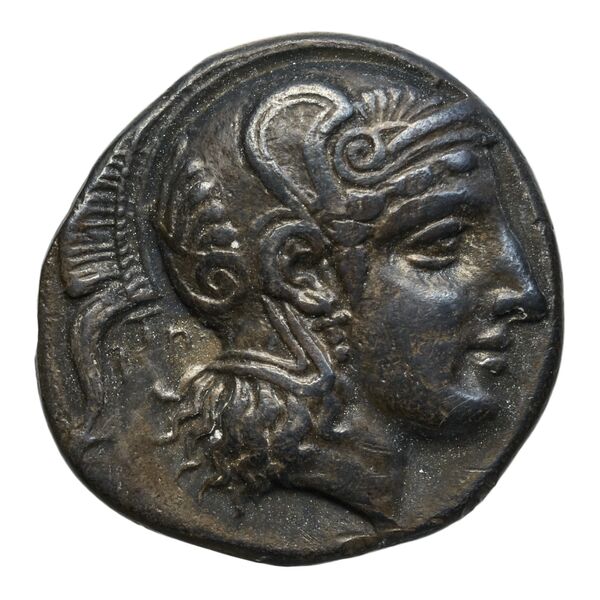 Pharsalus Lavva 2001 A. I, аверс, BnF (IRIS)