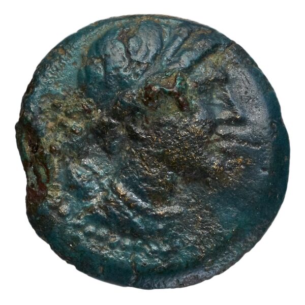 Neapolis Historia Numorum Italy 594, аверс, bnf-iris