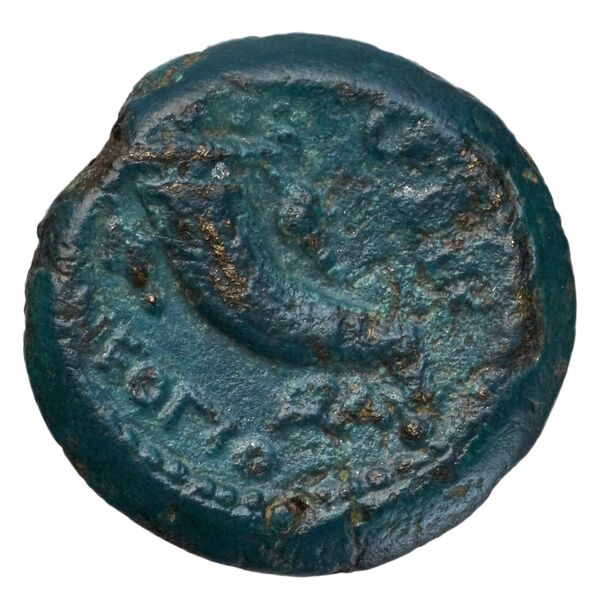 Neapolis Historia Numorum Italy 594, реверс, bnf-iris