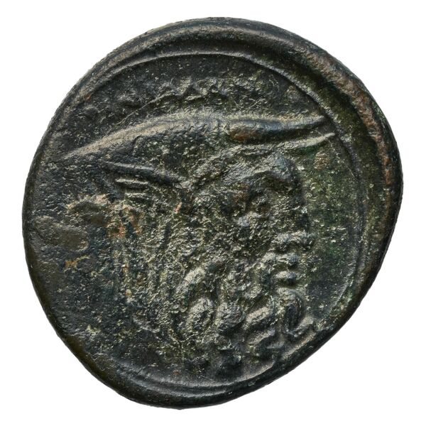реверс Oeniadae BMC Oeniadae 6-14