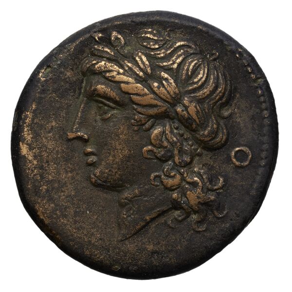 Suessa Aurunca Historia Numorum Italy 450, аверс, BnF (IRIS)