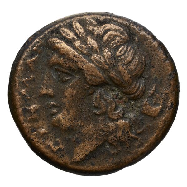 аверс Arpi Historia Numorum Italy 639