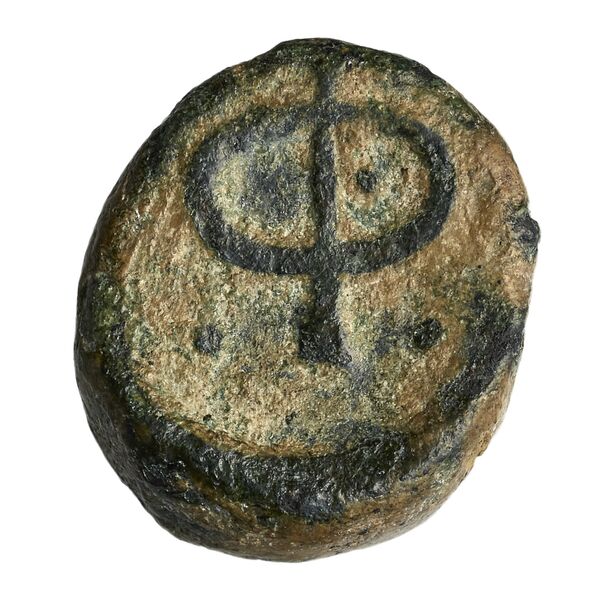 Phlius BMC Phlius 13-7, реверс, bnf-iris