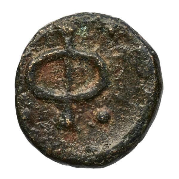 Phlius BMC Phlius 13-7, реверс, bnf-iris