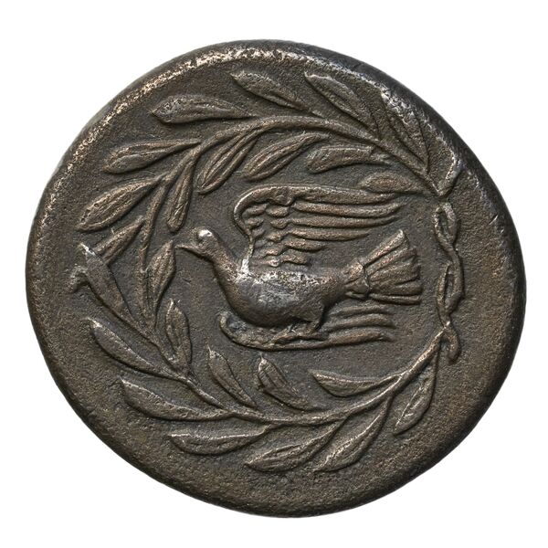 Sicyon BMC Sicyon 22-5; 30-3, реверс, bnf-iris