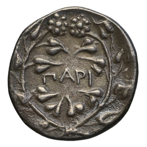реверс Paros Tully 2013 Didrachm 1 = Di1