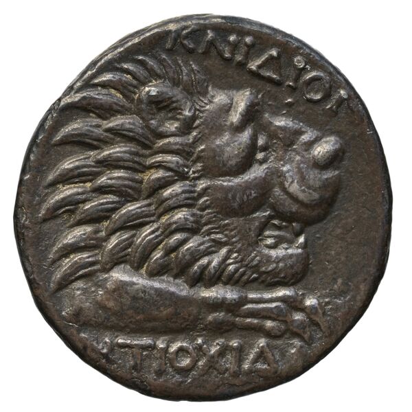 Cnidus Ashton 1999 Tetradrachms, реверс, bnf-iris