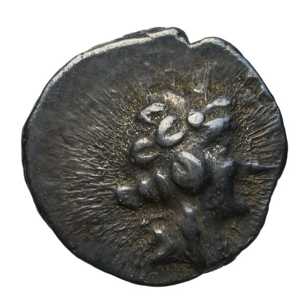 Myndus Zabel and Meadows 2002 Group A, аверс, bnf-iris