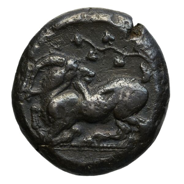 Celenderis Kraay 1962 Series III, реверс, BnF (IRIS)