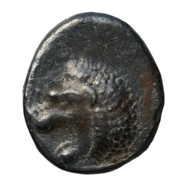 Hecatomnus of Caria Mylasa Konuk 1998 A1, аверс, BnF (IRIS)