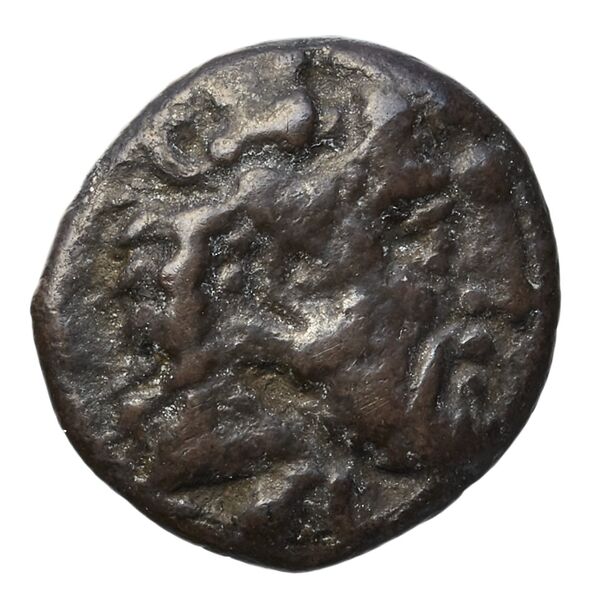 аверс Euagoras I Salamis BMC Salamis 49