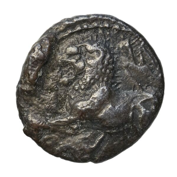 аверс Euagoras I Amathus BMC Amathus 7-8