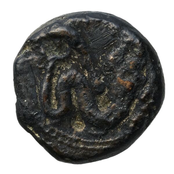 Aradus Elayi 2015 Pl. xiii, c6-8, c10, аверс, bnf-iris