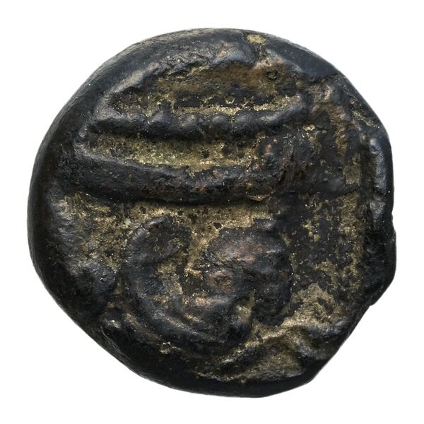 Aradus Elayi 2015 Pl. xiii, c6-8, c10, реверс, bnf-iris