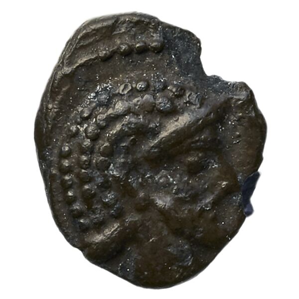 Aradus Elayi 2015 Pl. xv, c28, аверс, bnf-iris