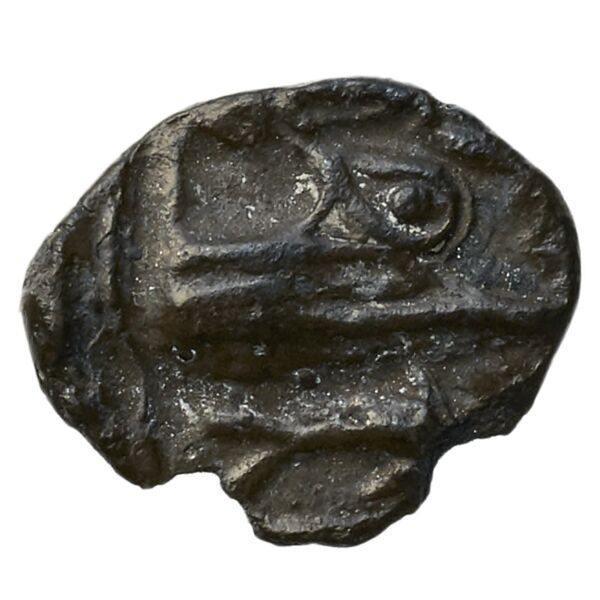 Aradus Elayi 2015 Pl. xv, c28, реверс, bnf-iris
