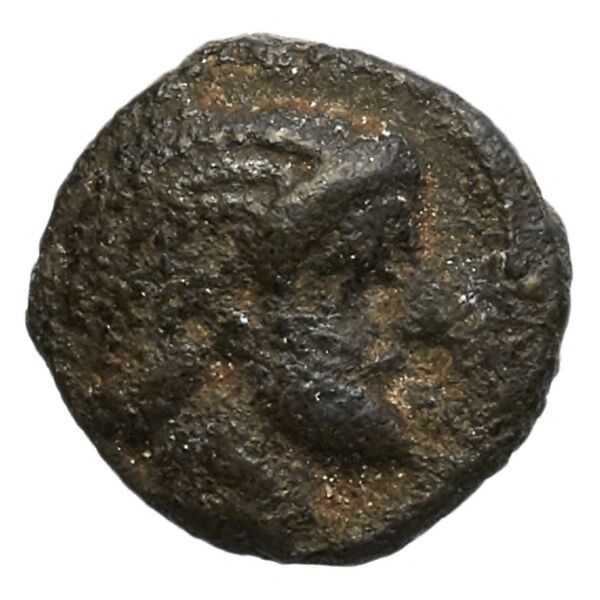 Aradus Elayi 2015 Pl. xv, c28, аверс, bnf-iris