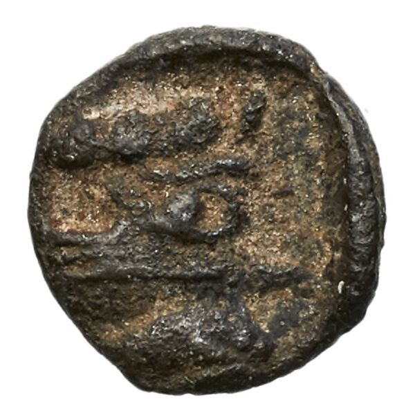 Aradus Elayi 2015 Pl. xv, c28, реверс, bnf-iris