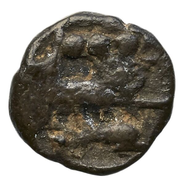 Aradus Elayi 2015 Pl. xv, c28, реверс, bnf-iris