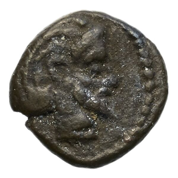 Aradus Elayi 2015 Pl. xv, c28, аверс, bnf-iris