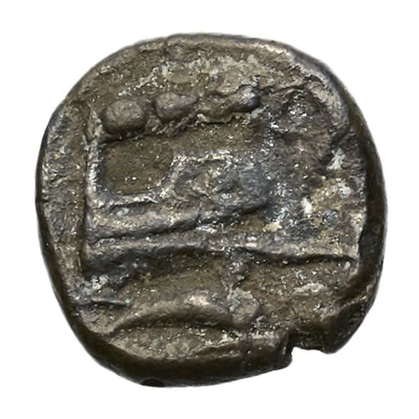 Aradus Elayi 2015 Pl. xv, c28, реверс, bnf-iris