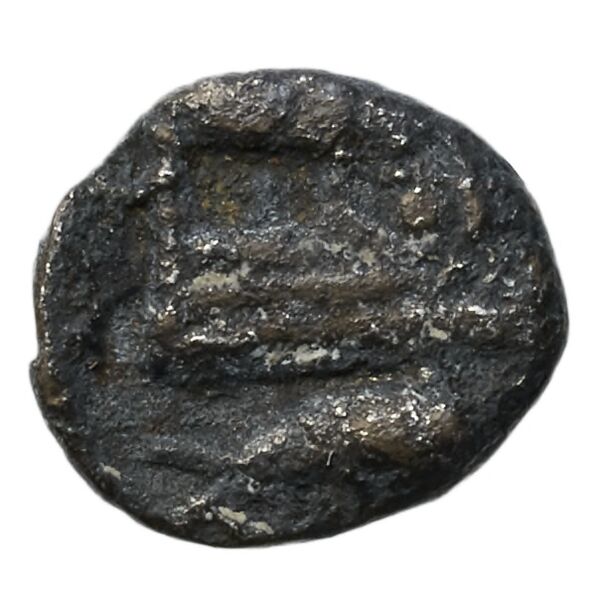 Aradus Elayi 2015 Pl. xv, c28, реверс, bnf-iris