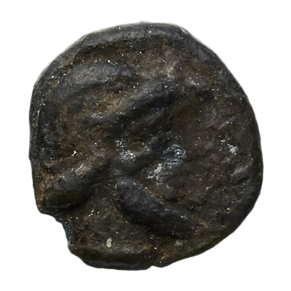 Aradus Elayi 2015 Pl. xv, c28, аверс, bnf-iris
