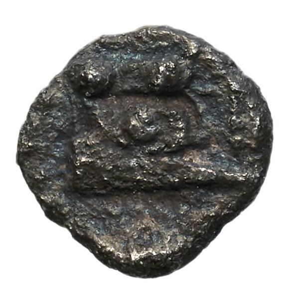 Aradus Elayi 2015 Pl. xv, c28, реверс, bnf-iris