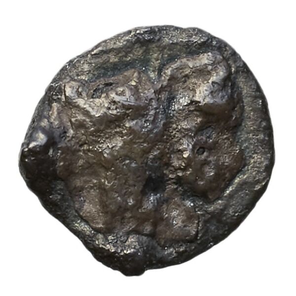 Aradus Elayi 2015 Pl. xv, c28, реверс, bnf-iris