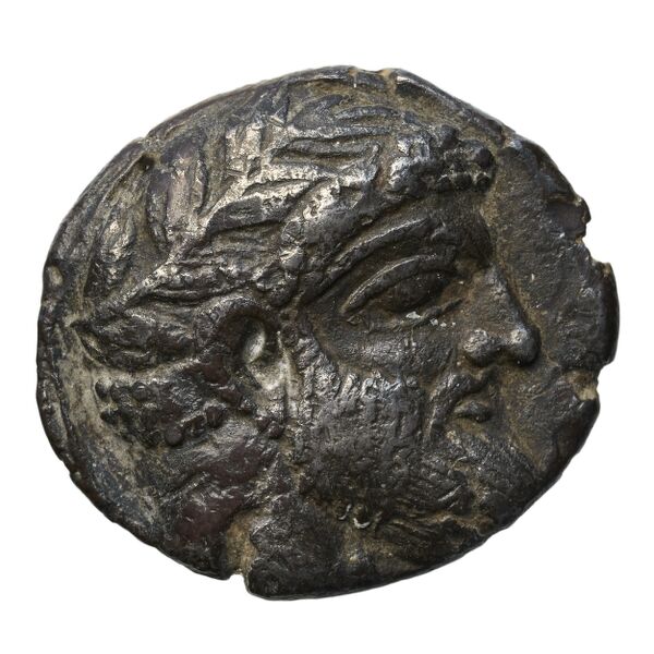 Aradus Elayi 2015 Pl. xiv, c13-16, аверс, bnf-iris