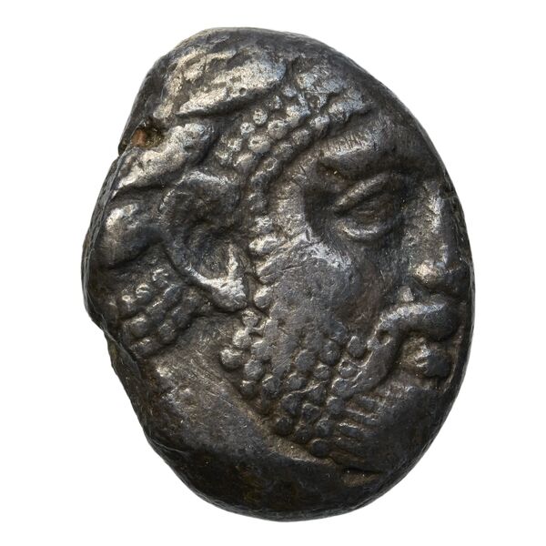 Aradus Elayi 2015 Pl. xiv, c22-24, аверс, bnf-iris