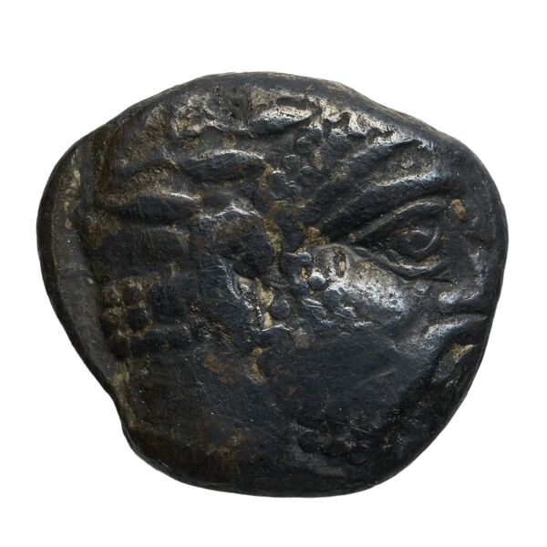 Aradus Elayi 2015 Pl. xiv, c22-24, аверс, bnf-iris