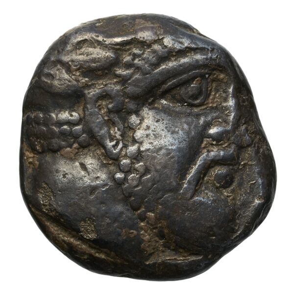Aradus Elayi 2015 Pl. xiv, c22-24, аверс, bnf-iris